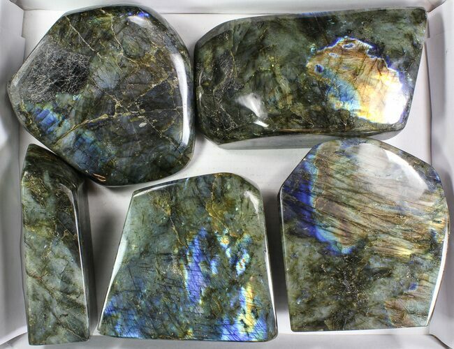 Lot: Lbs Free-Standing Polished Labradorite - Pieces #78026